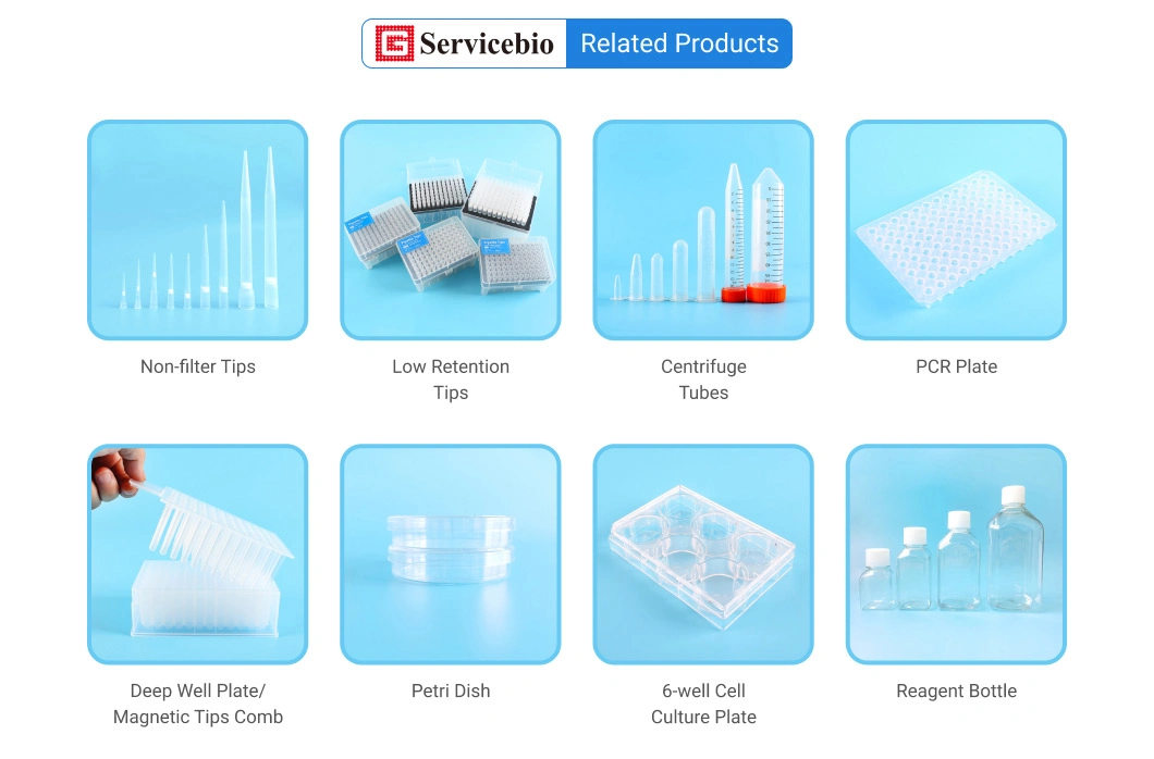 Hot Sale Filter Pipette Tips for Nucleic Acid Testing 10UL 20UL 100UL 200UL 1000UL 5ml 10ml